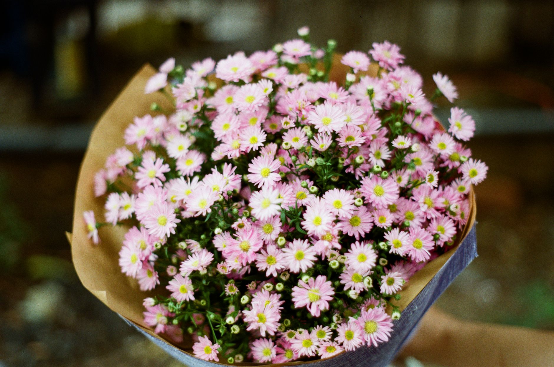 Buket bunga pink segar dengan mawar, peony, dan baby's breath, cocok untuk hadiah romantis atau dekorasi pesta.