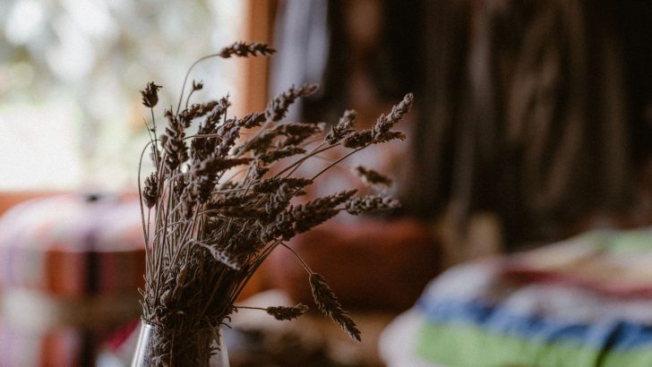 A rustic interior decorated with a vase of dried lavender, exuding warmth and natural beauty.