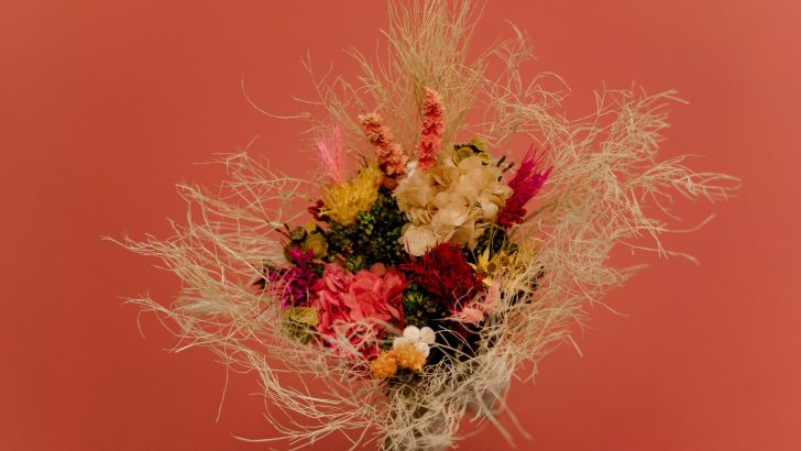 An artistic arrangement of colorful dried flowers on a coral backdrop, showcasing natural beauty.